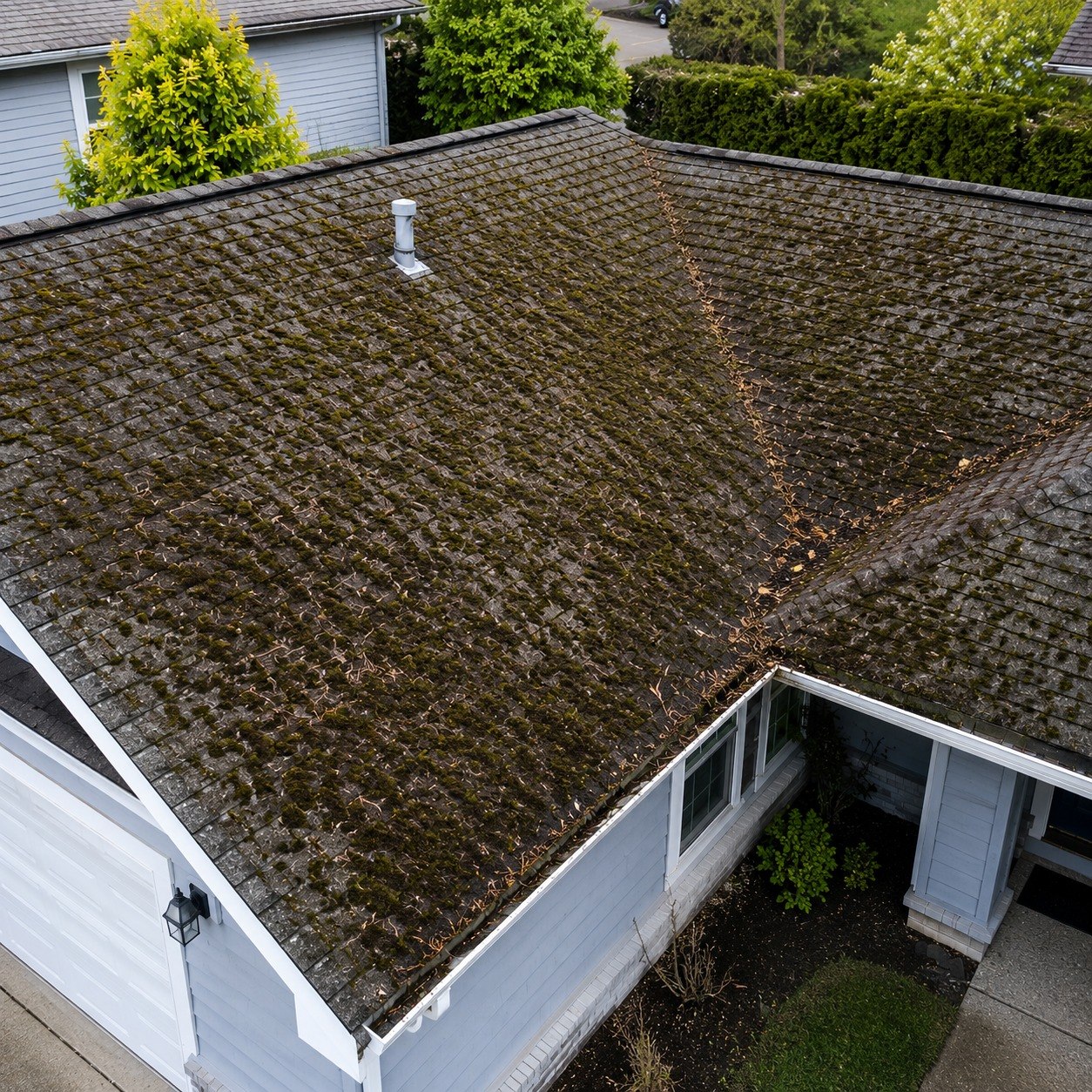 Heavy roof debris